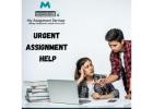 Urgent Assignment Help – Fast & Reliable Academic Support for Students