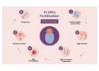 IVF Treatment Cost In Delhi - Dr Rhythm Gupta