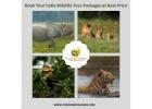 Book Your India Wildlife Tour Packages at Best Price