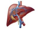Expert Care for Liver Cirrhosis Treatment in Ahmedabad  