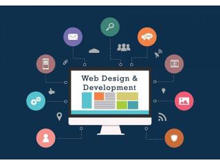 best website development company in Jaipur