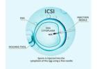 ICSI Treatment in Delhi - Dr Rhythm Gupta
