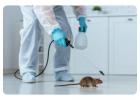 Rodent Control Services - Arizona Pest Solutions