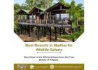 Best Resorts in Madhai for Wildlife Safaris