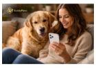Why Social Interaction Is Important for Pets