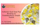Authentic Kaal Sarp Puja Booking At Trimbakeshwar Temple, Nashik