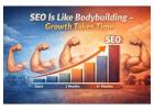 SEO Is Like Bodybuilding: Why Growth Takes Time?