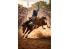 Find Rodeos Near Me | Discover Upcoming Rodeo Events Across the USA