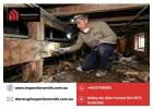 Building And Termite Inspections Perth Experts