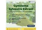 Gymnema Sylvestre Extract Supplier | Bulk Manufacturer India