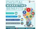 Digital Marketing Benefits for Business Growth