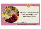 Effective Remedies Of Kaal Sarp Dosh At Trimbakeshwar