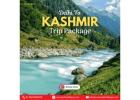 Delhi To Kashmir Trip Package