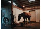 Protect Riding Stable Walls from Moisture Damage with Vinyl Panels