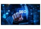SEO Services in California for Sustainable Business Growth