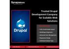 Trusted Drupal Development Company for Scalable Web Solutions