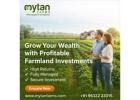 High-Return Managed Farmland for Investment Opportunities