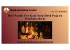 Best Pandit For Kaal Sarp Dosh Puja In Trimbakeshwar