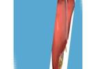 Best Gall Bladder Surgery Specialist in Ahmedabad