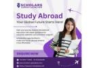 Best Study Abroad Consultants for Global Education Success