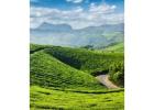 Book Your Kerala Trip Today: Explore Munnar and Alleppey 