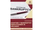 Chapter 7 Bankruptcy Practitioner in