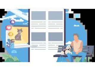 The Dynamic Landscape of Pet Care in India