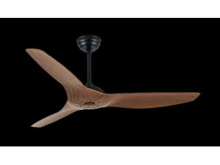 High Premium Creativity Designer Fan