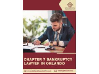 Chapter 7 Bankruptcy Lawyer in
