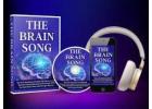 BrainSongX – Natural Brain Support for Focus, Memory & Mental Energy