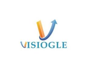 Top SEO Company India: Drive Traffic & Leads with Visiogle