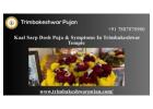 Kaal Sarp Dosh Puja & Symptoms In Trimbakeshwar Temple 