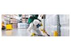 Affordable Pest Control Services in Chermside