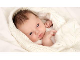 IVF and Surrogacy Services in Patna : Ekmifertility