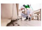 Effective Termite Treatment Services Willawong
