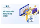 Professional Internal Audit in Microfinance Sector Solutions