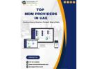 Are You Looking for Top MDM Providers in UAE Today!