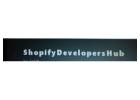 shopify development agency in delhi | shopify development company in delhi