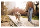 Dog Walking Services in Jaipur