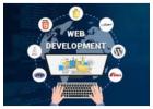 Top-Rated Web Developers Near Me – Build Your Online Success