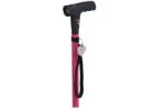 Buy the Best Walking Sticks for Women Online