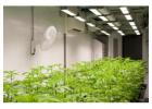 Build an Efficient Grow Room with Duramax Vinyl Grow Room Panels