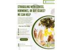 Struggling with Stress, Hormones, or Gut Issues? We Can Help