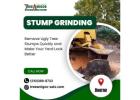 Stump Grinding in Boerne