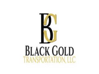Executive Car Service Tampa Bay for Business Events USA