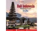 Bali Indonesia Package From Delhi