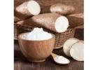 Reliable Tapioca Starch Manufacturers In Tamilnadu for Long-Term Suppl