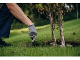 Top-Rated Weed Control & Landscaping Maintenance Services in Portland