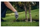 Top-Rated Weed Control & Landscaping Maintenance Services in Portland