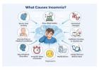 Top Reasons Behind Insomnia and Poor Sleep Quality